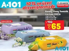 SLEEPY YÜZEY TEMİZLİK HAVLUSU 100'LÜ
